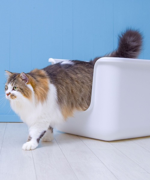 インテリア猫トイレ【BEAUTY】（その他ペットグッズ