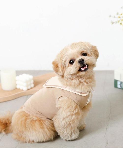 mon chéri 犬服 XLサイズ ベージュ 楽天市場】【期間限定10%OFF】 moncheri モンシェリ 犬 服