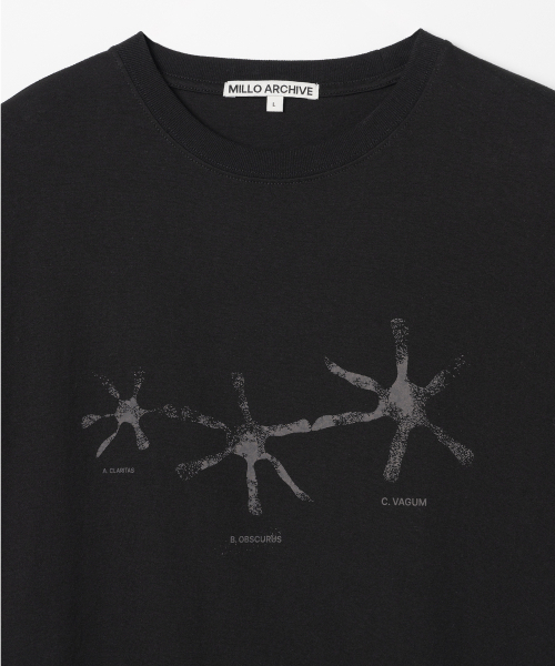 Millo Archive（ミロ アーカイブ）の「クレッセンド・フェイディッドTシャツ [ブラック]（Tシャツ/カットソー・メンズ・その他・MEDIUM/LARGE/X-LARGE）」の2枚目の写真