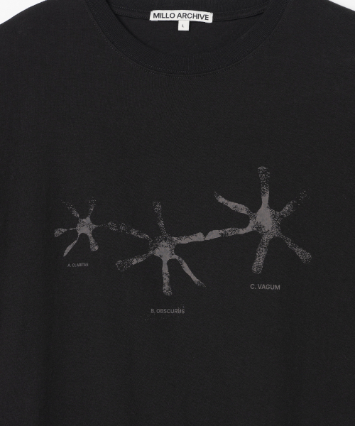 Millo Archive（ミロ アーカイブ）の「クレッセンド・フェイディッドTシャツ [ブラック]（Tシャツ/カットソー・メンズ・その他・MEDIUM/LARGE/X-LARGE）」の3枚目の写真