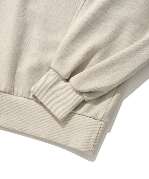 suade（スエード）の「WASHED LOGO CREWNECK [PIGMENT BEIGE]（スウェット・レディース・その他・LARGE/X-LARGE）」の5枚目の写真