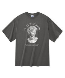 ステューシー 半袖Tシャツ グレー