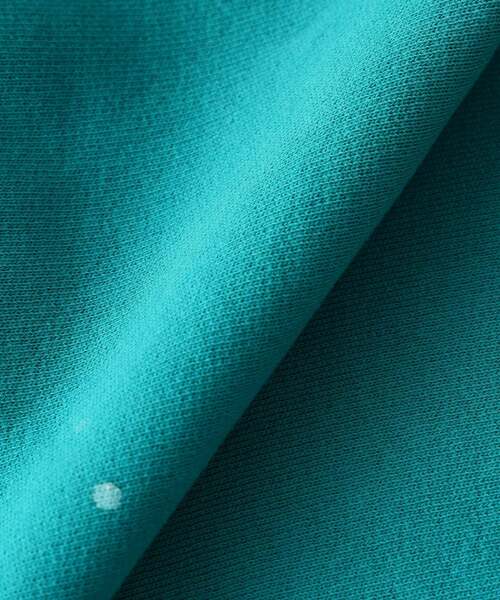 Champion(チャンピオン)の「CHAMPION / チャンピオン 別注 リバースウィーブ(R) オーバーダイ スウェット(スウェット・メンズ・ライトブルー/イエロー/ブラウン/ブラック・MEDIUM/X-LARGE/LARGE)」の9枚目の写真