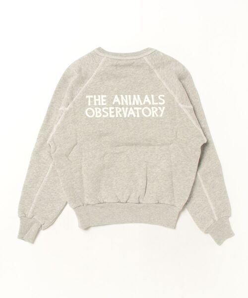 The animals observatory（ジ・アニマルズ・オブザーバトリー）の「The  