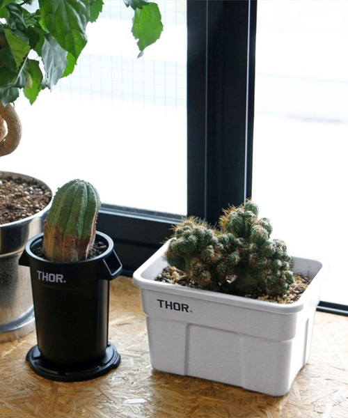 HIGHTIDE(ハイタイド)の「THOR ソー Mini Totes With Lid DC ミニトート ウィズ リッド DC(収納グッズ・メンズ・オレンジ/ベージュ/ライトグレー/ブラック/オリーブ/クリア・FREE)」の17枚目の写真