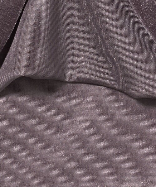 AEWEN MATOPH(イウエン マトフ)の「<AEWEN MATOPH>シアー ベロア Tシャツ(Tシャツ/カットソー・レディース・グレー/ブラック/ライム・FREE)」の4枚目の写真