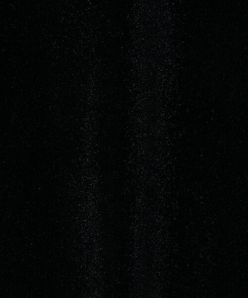 AEWEN MATOPH(イウエン マトフ)の「<AEWEN MATOPH>シアー ベロア Tシャツ(Tシャツ/カットソー・レディース・グレー/ブラック/ライム・FREE)」の9枚目の写真