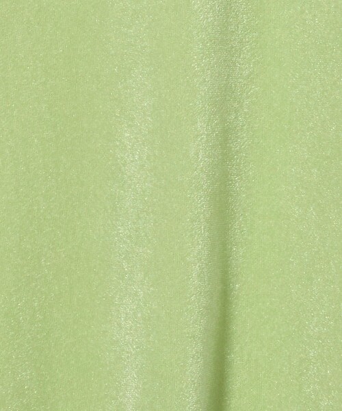 AEWEN MATOPH(イウエン マトフ)の「<AEWEN MATOPH>シアー ベロア Tシャツ(Tシャツ/カットソー・レディース・グレー/ブラック/ライム・FREE)」の13枚目の写真