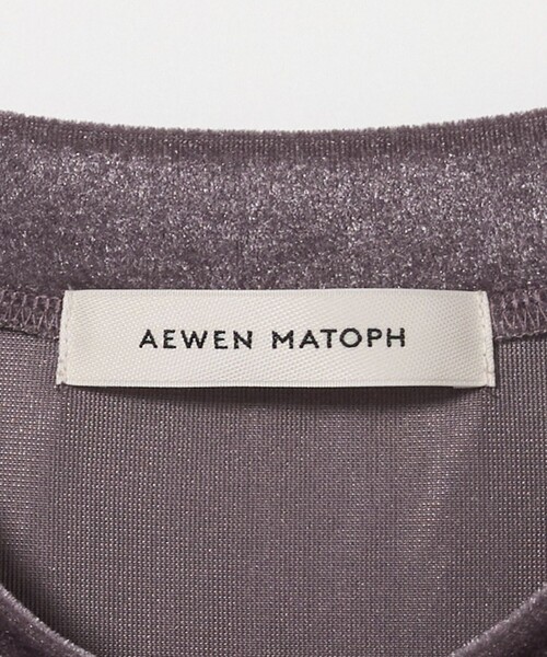 AEWEN MATOPH(イウエン マトフ)の「<AEWEN MATOPH>シアー ベロア Tシャツ(Tシャツ/カットソー・レディース・グレー/ブラック/ライム・FREE)」の14枚目の写真