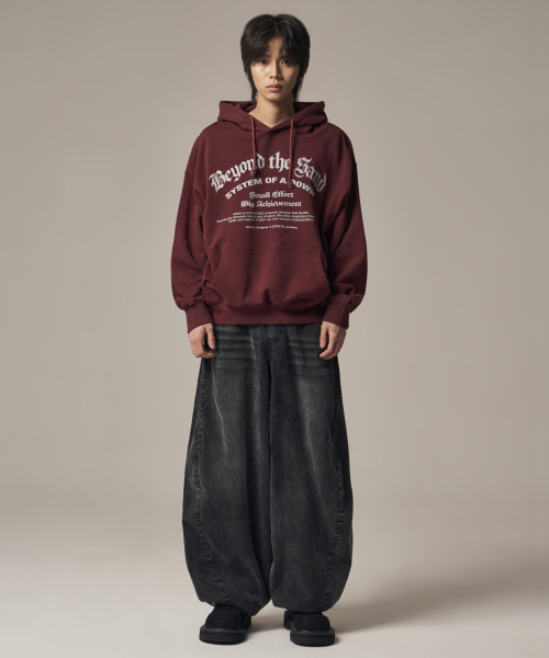 IDWS(アイドンワナセル)の「System Down Hoodie Burgundy(パーカー・レディース・その他・0/1/2)」の10枚目の写真