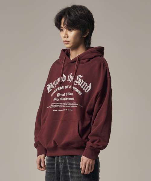 IDWS(アイドンワナセル)の「System Down Hoodie Burgundy(パーカー・レディース・その他・0/1/2)」の11枚目の写真