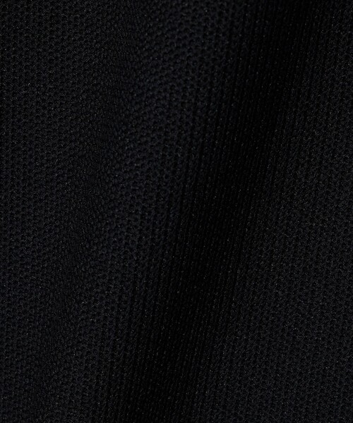 LACOSTE(ラコステ)の「<LACOSTE for BEAUTY&YOUTH>ワントーン ポロシャツ(ポロシャツ・メンズ・ホワイト/ブラック/ダークグレー/ライトグレー・XL/S/L/M)」の9枚目の写真