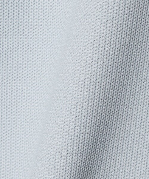 LACOSTE(ラコステ)の「<LACOSTE for BEAUTY&YOUTH>ワントーン ポロシャツ(ポロシャツ・メンズ・ホワイト/ブラック/ダークグレー/ライトグレー・XL/S/L/M)」の7枚目の写真