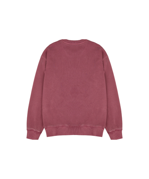 ABEEHUMS（アビハムズ）の「ピグメントダイングシャドウロゴスウェットシャツ ABH357-119 ダスティピンク（スウェット・レディース・ピンク・SMALL/MEDIUM）」の2枚目の写真