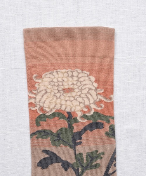 Bonne maison（ボンメゾン）の「Bonne Maison / RO3-01 / ソックス（ソックス/靴下・レディース・マルチ・FREE）」の4枚目の写真