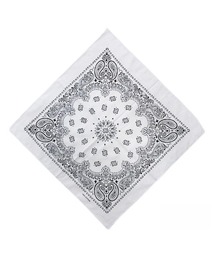 almo(アルモ)のペイズリーバンダナ/スカーフ55×55cm(NEZ)(バンダナ/スカーフ)