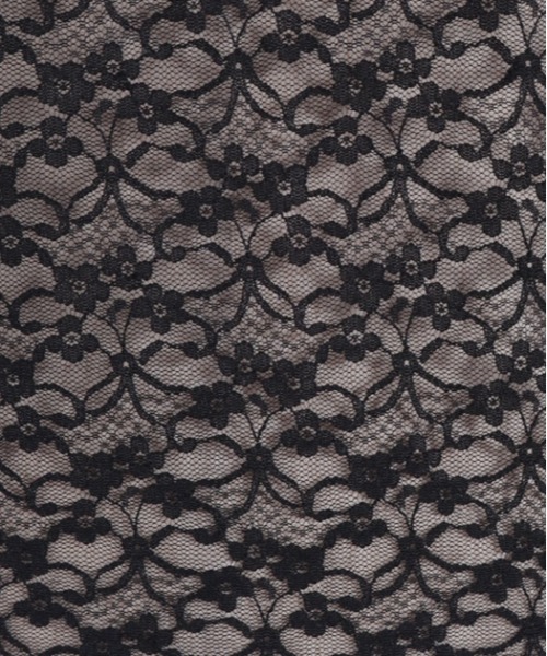 axes femme（アクシーズファム）の「プチローズレーストップス（Tシャツ/カットソー・レディース・ブラック/ホワイト/クリーム・FREE）」の19枚目の写真