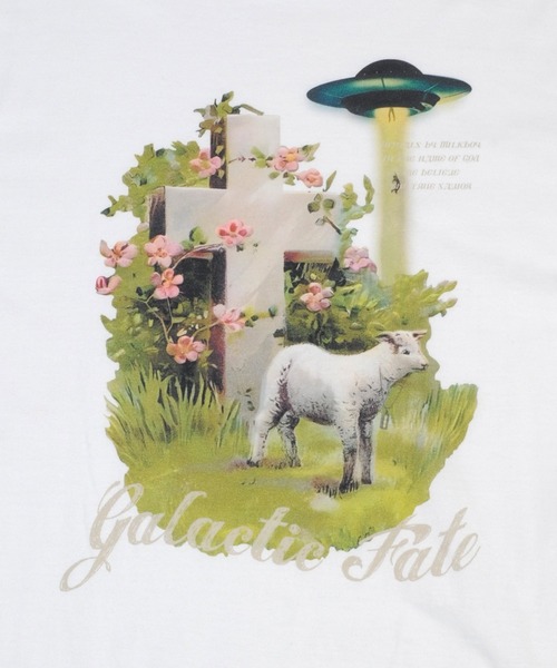 MILKBOY(ミルクボーイ)の「Galactic Fate Tシャツ(Tシャツ/カットソー・レディース・C/A/B・M/L)」の13枚目の写真