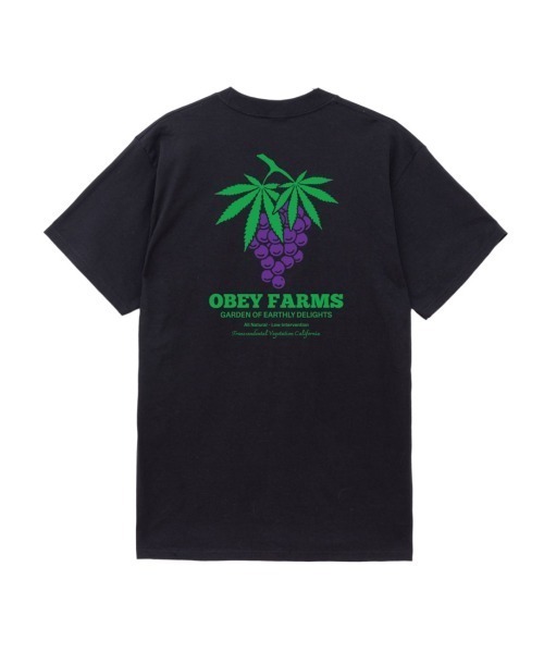 OBEY（オベイ）の「OBEY FARMS CLASSIC T-SHIRT（オベイ ファーム クラシックTシャツ）（Tシャツ/カットソー・メンズ・ペールイエロー/ホワイト/ブラック系・X-LARGE/LARGE/MEDIUM）」の3枚目の写真