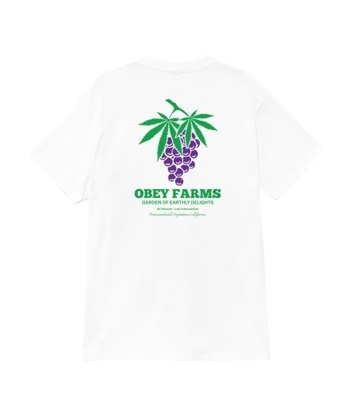 OBEY（オベイ）の「OBEY FARMS CLASSIC T-SHIRT（オベイ ファーム クラシックTシャツ）（Tシャツ/カットソー・メンズ・ペールイエロー/ホワイト/ブラック系・X-LARGE/LARGE/MEDIUM）」の2枚目の写真