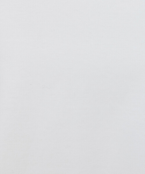 COMME CA（コムサ）の「アルビ二スタスムース Tシャツ（Tシャツ/カットソー・レディース・ホワイト/サックスブルー・9号）」の16枚目の写真