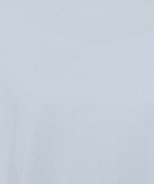 COMME CA（コムサ）の「アルビ二スタスムース Tシャツ（Tシャツ/カットソー・レディース・ホワイト/サックスブルー・9号）」の17枚目の写真