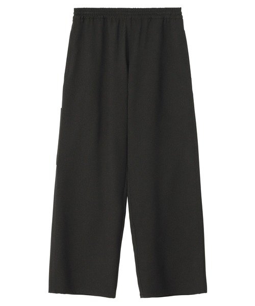 WOOLISH TWILL / パンツ