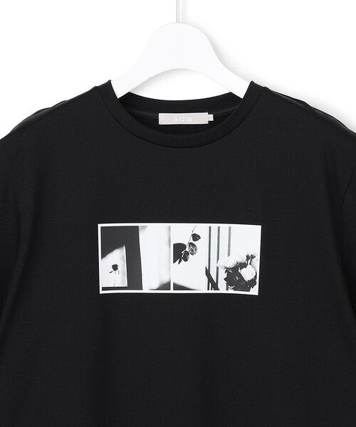 ICB（アイシービー）の「クロップド ロゴTEE（フォトプリント）（Tシャツ/カットソー・レディース・ブラック系・LARGE/X-LARGE）」の12枚目の写真