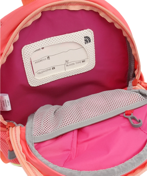 THE NORTH FACE（ザノースフェイス）の「BK THE NORTH FACE HOMESLICE デイパック（バックパック/リュック・キッズ・ピンク/コバルトブルー・フリー）」の11枚目の写真