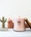 HIGHTIDEinC^Chj́uWoodWick Jar Candle EbhEBbN W[ Lh A} tOX {bNX MTCYiLhjvb̑3