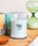 HIGHTIDEinC^Chj́uWoodWick Jar Candle EbhEBbN W[ Lh A} tOX {bNX MTCYiLhjvb̑7