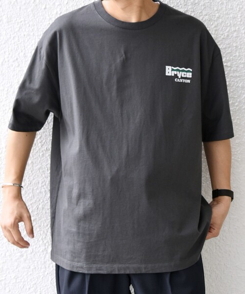 SHIPS any（シップス エニィ）の「【WEB限定】SHIPS any: NATIONAL PARK ヴィンテージライク ワンポイント プリント Tシャツ◇（Tシャツ/カットソー・メンズ・ホワイト/ネイビー/ライトホワイト/ダークグレー・SMALL/X-LARGE/LARGE/MEDIUM）」の19枚目の写真