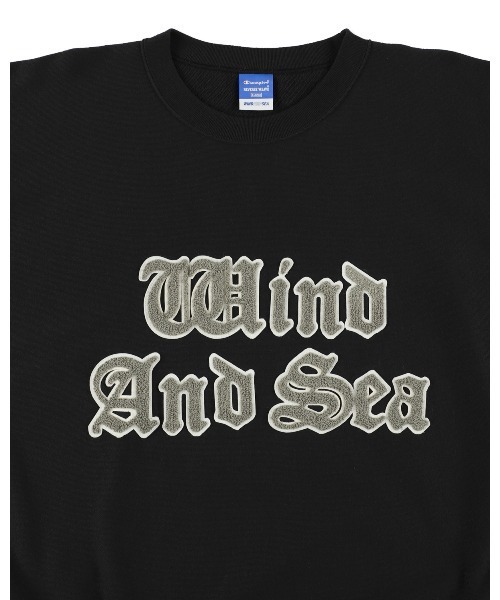 Champion(チャンピオン)の「CHAMPION x WDS REVERSE WEAVE CHENILLE TEE(Tシャツ/カットソー・メンズ・グレー/ダークブラック・S/M/L/XL)」の4枚目の写真