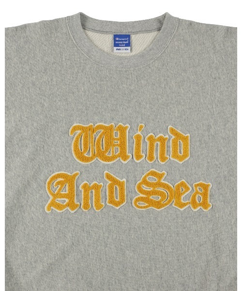 Champion(チャンピオン)の「CHAMPION x WDS REVERSE WEAVE CHENILLE TEE(Tシャツ/カットソー・メンズ・グレー/ダークブラック・S/M/L/XL)」の8枚目の写真