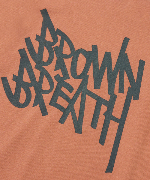 BROWNBREATH(ブラウンブレス)の「ピグメントタグTシャツ - オレンジ(Tシャツ/カットソー・レディース・その他・L/XL/S/M)」の4枚目の写真
