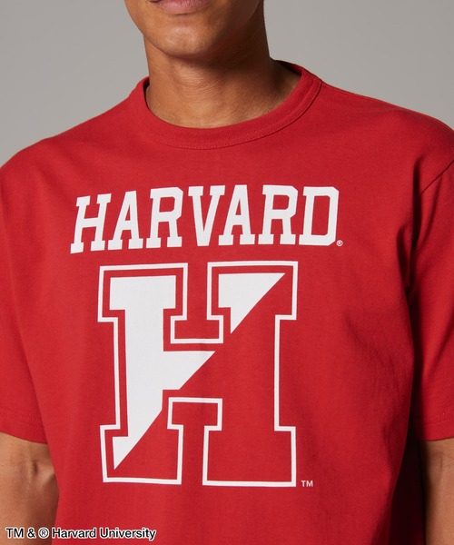 Champion(チャンピオン)の「【Champion/チャンピオン】メンズ MADE IN USA ティーテンイレブン ショートスリーブTシャツ(Tシャツ/カットソー・メンズ・レッド系その他7/ホワイト系その他7/シルバーグレー/ホワイト・X-LARGE/LARGE/SMALL/MEDIUM)」の22枚目の写真