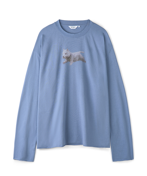 PARTIMENTO(パルティメント)の「フェイドペット ロングスリーブ ブルー(Tシャツ/カットソー・メンズ・その他・MEDIUM/LARGE)」の1枚目の写真