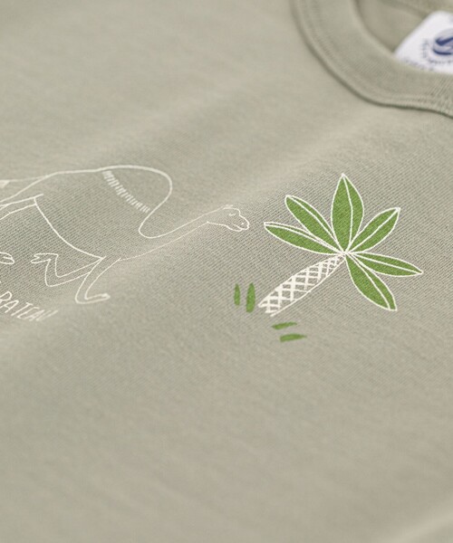 PETIT BATEAU(プチバトー)の「プリント半袖Tシャツ(Tシャツ/カットソー・キッズ・オフホワイト/ダークネイビー/レッド/グリーン・18MONTH/12MONTH/24MONTH/36MONTH)」の19枚目の写真