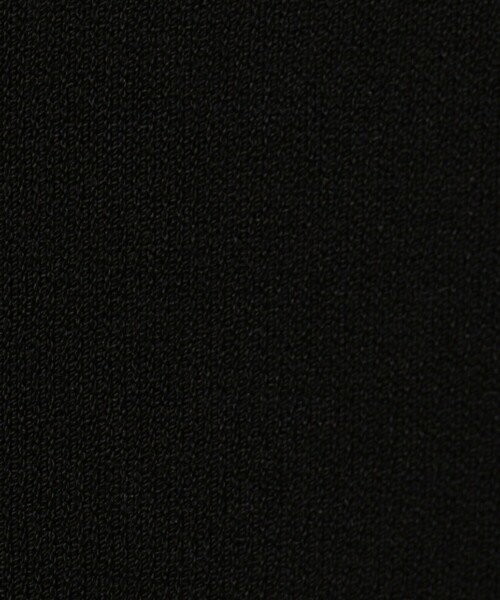 NOLLEY’S Sophi(ノーリーズソフィ)の「《手洗い可能》シアーフレアスリーブプルオーバーカットソー(ニット/セーター・レディース・ベージュ/ブラック/オフホワイト・38)」の21枚目の写真