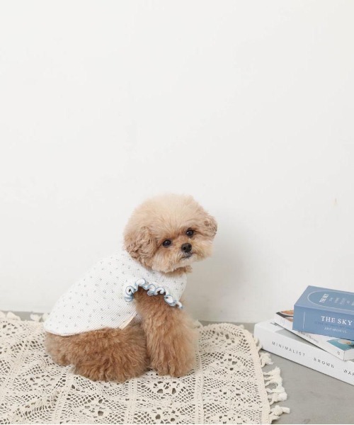 moncheri（モンシェリ）の「冷感小花柄ショルダーメローフリルトップス【接触冷感】（ペットウェア・レディース・ピンク/ブルー・XL/S/M/L/XS/2M）」の11枚目の写真