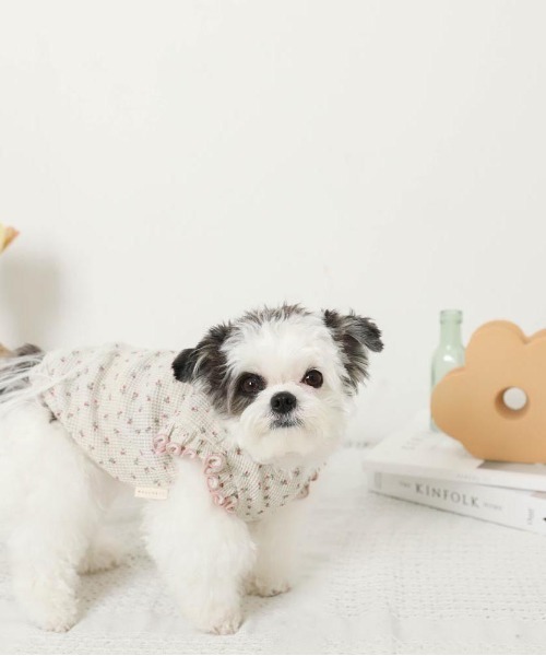 moncheri（モンシェリ）の「冷感小花柄ショルダーメローフリルトップス【接触冷感】（ペットウェア・レディース・ピンク/ブルー・XL/S/M/L/XS/2M）」の12枚目の写真