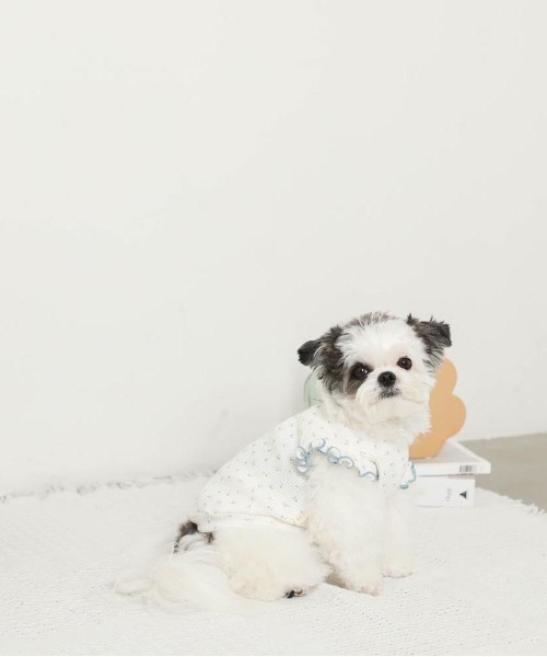 moncheri（モンシェリ）の「冷感小花柄ショルダーメローフリルトップス【接触冷感】（ペットウェア・レディース・ピンク/ブルー・XL/S/M/L/XS/2M）」の15枚目の写真