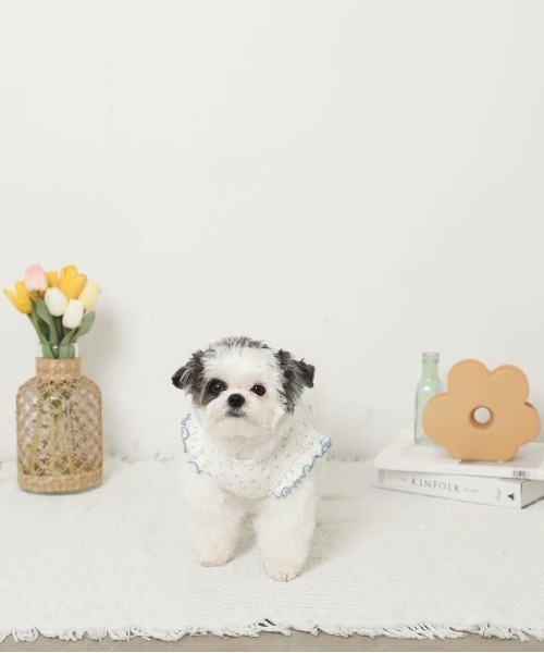 moncheri（モンシェリ）の「冷感小花柄ショルダーメローフリルトップス【接触冷感】（ペットウェア・レディース・ピンク/ブルー・XL/S/M/L/XS/2M）」の16枚目の写真