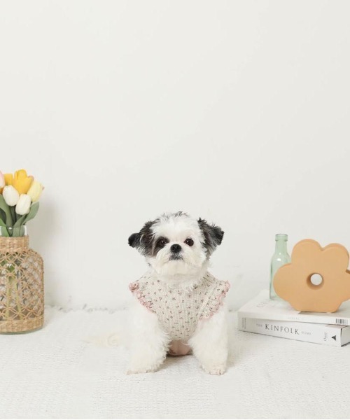 moncheri（モンシェリ）の「冷感小花柄ショルダーメローフリルトップス【接触冷感】（ペットウェア・レディース・ピンク/ブルー・XL/S/M/L/XS/2M）」の5枚目の写真