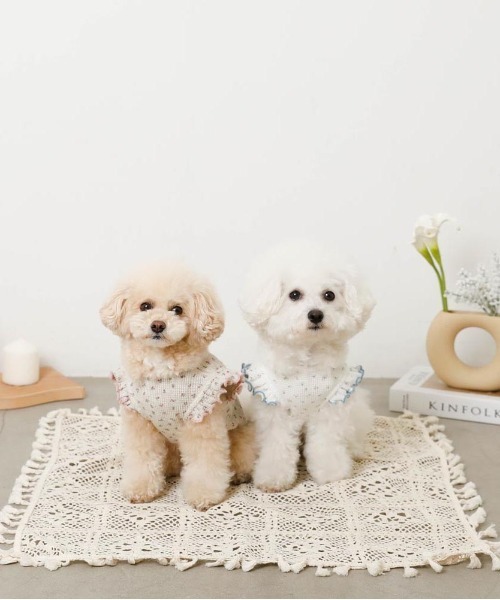 moncheri（モンシェリ）の「冷感小花柄ショルダーメローフリルトップス【接触冷感】（ペットウェア・レディース・ピンク/ブルー・XL/S/M/L/XS/2M）」の6枚目の写真