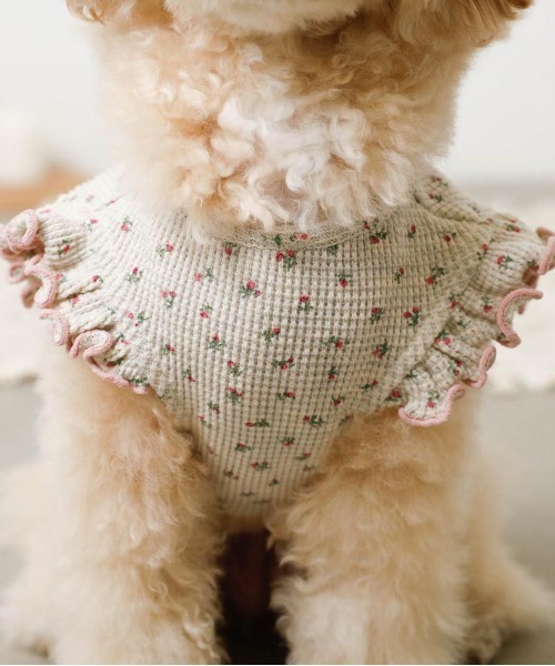 moncheri（モンシェリ）の「冷感小花柄ショルダーメローフリルトップス【接触冷感】（ペットウェア・レディース・ピンク/ブルー・XL/S/M/L/XS/2M）」の7枚目の写真