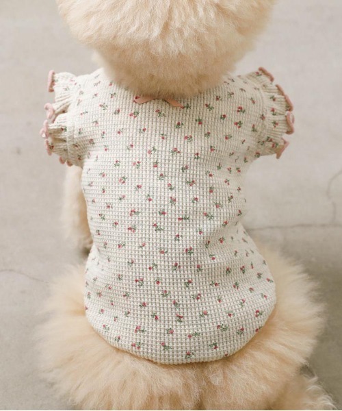 moncheri（モンシェリ）の「冷感小花柄ショルダーメローフリルトップス【接触冷感】（ペットウェア・レディース・ピンク/ブルー・XL/S/M/L/XS/2M）」の8枚目の写真