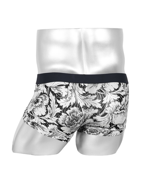 Gravevault グレイブボールト graphic heart メンズ ローライズ