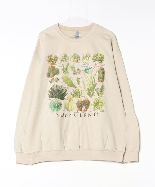 AMERICAN RAG CIE（アメリカンラグシー）の「ATLAS SCREEN PRINTING SUCCULENTSスウェット（スウェット・メンズ・サンドベージュ・L/XL）」の2枚目の写真
