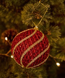 niko and...(jRAh)́y2024Xmasziie[vI[ig(CeAG)